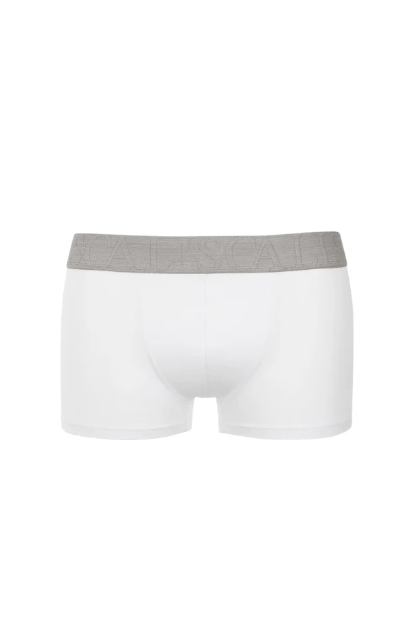 Boxer